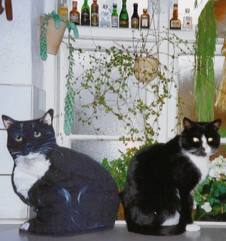 James og Bernhardt ryg mod ryg