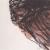 Björk: Who is it?