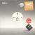 Sugarcubes: Regina
